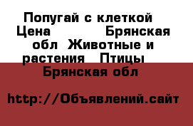 Попугай с клеткой › Цена ­ 1 000 - Брянская обл. Животные и растения » Птицы   . Брянская обл.